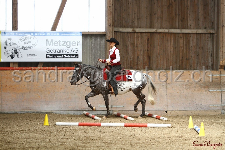 28-ApHC OT_289.jpg